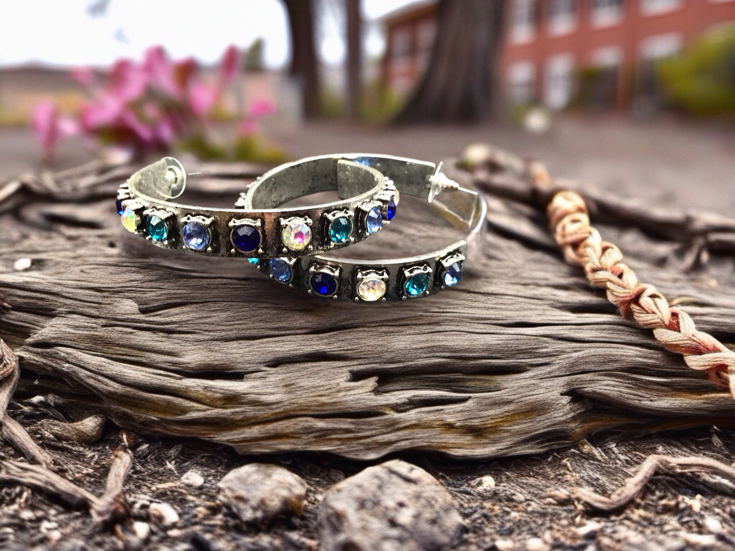 Western Sparkle Earrings