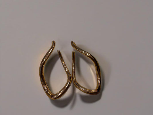 Luxe Loop Hoop Earrings