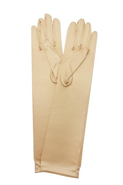 Pretty Paid Satin Gloves